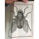 JOBLOT (Louis) Adanson Observations d'histoire naturelle, faites avec le microscope, sur un grand nombre d'insectes 1754