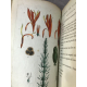 Recueil de plantes coloriées, pour servir a l'intelligence des lettres elémentaires sur la botanique de J.J. Rousseau