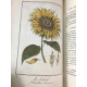 Exercices de botanique à l'usage de commencans, 157 planches réhaussées en couleur , Philibert Edition originale