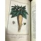 Exercices de botanique à l'usage de commencans, 157 planches réhaussées en couleur , Philibert Edition originale