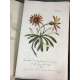 Philipp Millers 244 planches grand format in folio rehaussées pour Tournefort et Linné 1768 Art Gravure botanique
