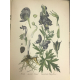 Masclef Atlas des plantes de France Utiles nuisibles ornementales 400 planches coloriées 1891