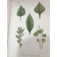 Le Règne végétal traité de botanique général édition dite des successeurs complet 411 planches colorées gommées splendide