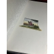 La Chastelaine de Vergy. Miniatures et enluminures de Jean GRADASSI.N° 19 avec suite et original