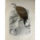 Buffon, Sainte-Beuve Galerie d'histoire naturelle tirée des oeuvres complètes de Buffon ornée de trente deux gravures sur acier