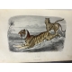 Buffon, Sainte-Beuve Galerie d'histoire naturelle tirée des oeuvres complètes de Buffon ornée de trente deux gravures sur acier
