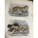 Buffon, Sainte-Beuve Galerie d'histoire naturelle tirée des oeuvres complètes de Buffon ornée de trente deux gravures sur acier