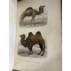 Buffon, Sainte-Beuve Galerie d'histoire naturelle tirée des oeuvres complètes de Buffon ornée de trente deux gravures sur acier