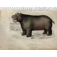 Buffon, Sainte-Beuve Galerie d'histoire naturelle tirée des oeuvres complètes de Buffon ornée de trente deux gravures sur acier