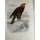 Buffon, Sainte-Beuve Galerie d'histoire naturelle tirée des oeuvres complètes de Buffon ornée de trente deux gravures sur acier