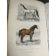 Buffon, Sainte-Beuve Galerie d'histoire naturelle tirée des oeuvres complètes de Buffon ornée de trente deux gravures sur acier