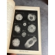 Secchi les étoiles essai d'astronomie sidérales 1895 tome 1 et 2 complet des planches bel exemplaire