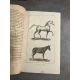 Buffon Cuvier 26 volumes 221 planches gravées mammifères et oiseaux bel ensemble avec gravures