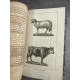 Buffon Cuvier 26 volumes 221 planches gravées mammifères et oiseaux bel ensemble avec gravures