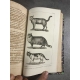 Buffon Cuvier 26 volumes 221 planches gravées mammifères et oiseaux bel ensemble avec gravures