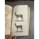 Buffon Cuvier 26 volumes 221 planches gravées mammifères et oiseaux bel ensemble avec gravures