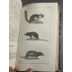Buffon Cuvier 26 volumes 221 planches gravées mammifères et oiseaux bel ensemble avec gravures