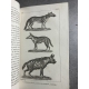 Buffon Cuvier 26 volumes 221 planches gravées mammifères et oiseaux bel ensemble avec gravures