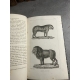 Buffon Cuvier 26 volumes 221 planches gravées mammifères et oiseaux bel ensemble avec gravures