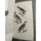Buffon Cuvier 26 volumes 221 planches gravées mammifères et oiseaux bel ensemble avec gravures