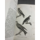 Buffon Cuvier 26 volumes 221 planches gravées mammifères et oiseaux bel ensemble avec gravures