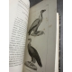 Buffon Cuvier 26 volumes 221 planches gravées mammifères et oiseaux bel ensemble avec gravures