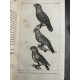 Buffon Cuvier 26 volumes 221 planches gravées mammifères et oiseaux bel ensemble avec gravures