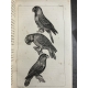Buffon Cuvier 26 volumes 221 planches gravées mammifères et oiseaux bel ensemble avec gravures