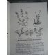 Lyon horticole Horticulture fleur 1884 a 1888 5 ans gravures en noir