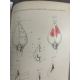Médecine Guyon Hyperthermie centrale consecutive aux Lesions cérébro spinal cerveau Steinheil 1893