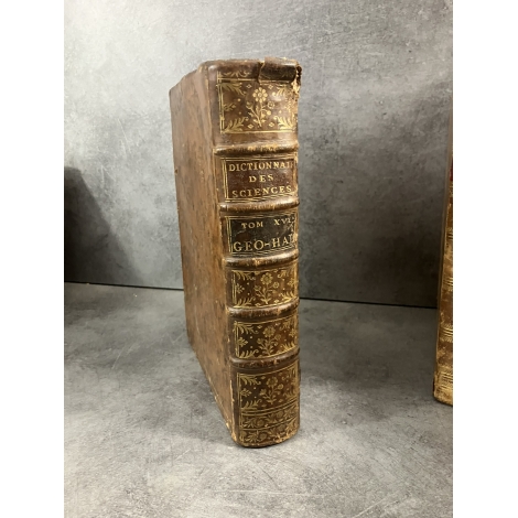 Diderot et d' Alembert Tome XVI 16 Geneve Pellet 1778 Géocentrique- Halage Géographie, Glacier , gravure