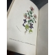 Jacquemart Le Langage des fleurs Flore des dames couleurs d'époque, Cartonnage romantique vers 1841 Complet