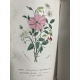 Jacquemart Le Langage des fleurs Flore des dames couleurs d'époque, Cartonnage romantique vers 1841 Complet
