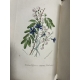Jacquemart Le Langage des fleurs Flore des dames couleurs d'époque, Cartonnage romantique vers 1841 Complet