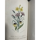 Jacquemart Le Langage des fleurs Flore des dames couleurs d'époque, Cartonnage romantique vers 1841 Complet
