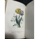 Jacquemart Le Langage des fleurs Flore des dames couleurs d'époque, Cartonnage romantique vers 1841 Complet