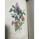 Jacquemart Le Langage des fleurs Flore des dames couleurs d'époque, Cartonnage romantique vers 1841 Complet