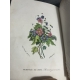 Jacquemart Le Langage des fleurs Flore des dames couleurs d'époque, Cartonnage romantique vers 1841 Complet