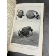 Fabre La vie des insectes 15 gravures 11 planches reliure cuir entomologie .vers 1920