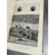 Fabre La vie des insectes 15 gravures 11 planches reliure cuir entomologie .vers 1920