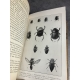 Fabre La vie des insectes 15 gravures 11 planches reliure cuir entomologie .vers 1920