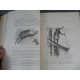 Jean Dybowski La route du Tchad du Loango au Chari 136 dessins 1893 reliure cuir voyage géographie