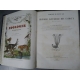 histoire naturelle des animaux Zoologie du jeune age Lereboullet Strasbourg derivaux 1860 [buffon]