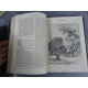 Chatterbox 1874 nombreuses et charmantes gravures enfantina langue anglaise