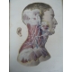Important Atlas Médecine Hirschfeld Lévéillé Traité d'ichonogaphie du système nerveux Neurologie sens yeux anatomie XIXe