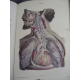 Important Atlas Médecine Hirschfeld Lévéillé Traité d'ichonogaphie du système nerveux Neurologie sens yeux anatomie XIXe