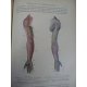 Testut Traité d'anatomie humaine Paris 5eme édition 1904-1905 nombreuses figures anatomiques