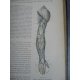 Testut Traité d'anatomie humaine Paris 5eme édition 1904-1905 nombreuses figures anatomiques
