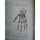 Testut Traité d'anatomie humaine Paris 1905-1912 nombreuses figures anatomiques