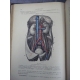 Testut Traité d'anatomie humaine Paris 1905-1912 nombreuses figures anatomiques